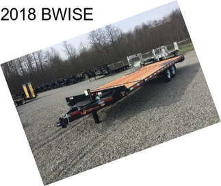 2018 BWISE