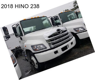 2018 HINO 238