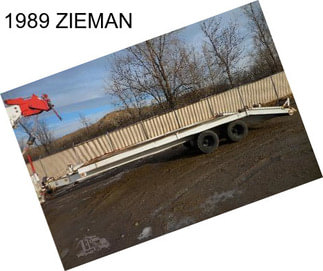 1989 ZIEMAN