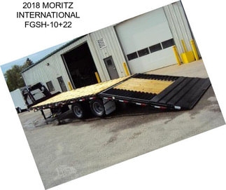 2018 MORITZ INTERNATIONAL FGSH-10+22