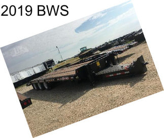 2019 BWS