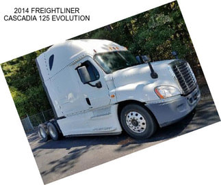 2014 FREIGHTLINER CASCADIA 125 EVOLUTION