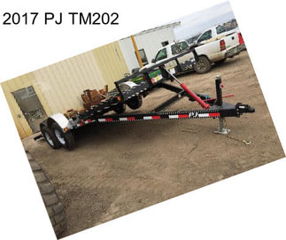 2017 PJ TM202