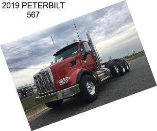 2019 PETERBILT 567