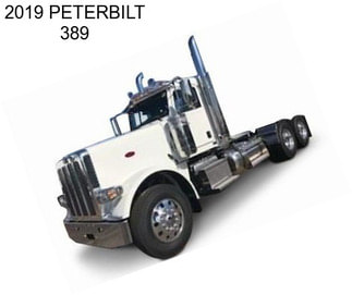 2019 PETERBILT 389