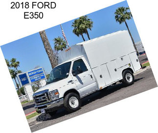 2018 FORD E350