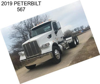 2019 PETERBILT 567