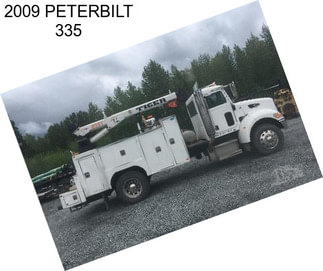 2009 PETERBILT 335