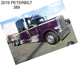 2019 PETERBILT 389