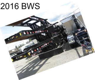 2016 BWS