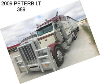 2009 PETERBILT 389