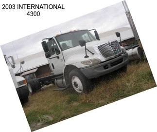 2003 INTERNATIONAL 4300