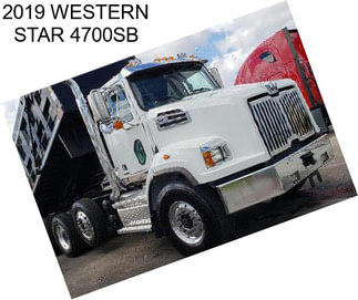 2019 WESTERN STAR 4700SB