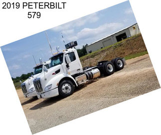 2019 PETERBILT 579