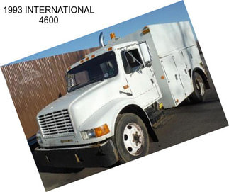 1993 INTERNATIONAL 4600