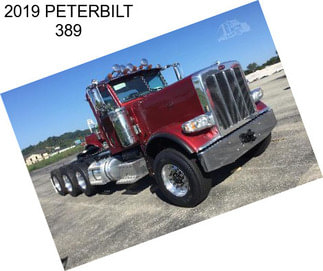 2019 PETERBILT 389