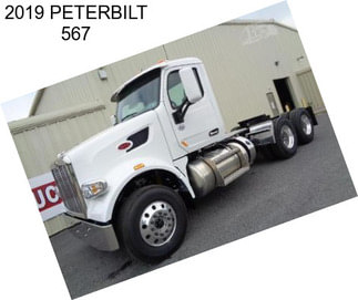 2019 PETERBILT 567