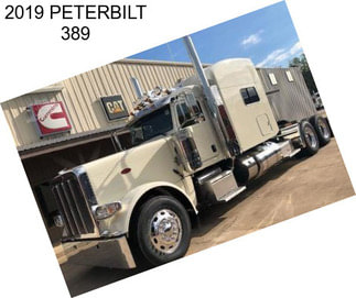 2019 PETERBILT 389