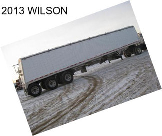 2013 WILSON