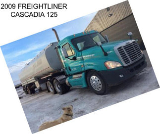 2009 FREIGHTLINER CASCADIA 125