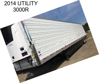 2014 UTILITY 3000R