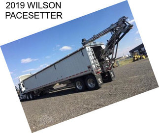 2019 WILSON PACESETTER