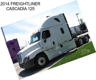 2014 FREIGHTLINER CASCADIA 125