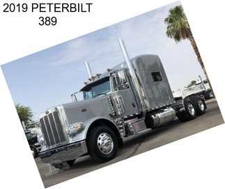 2019 PETERBILT 389