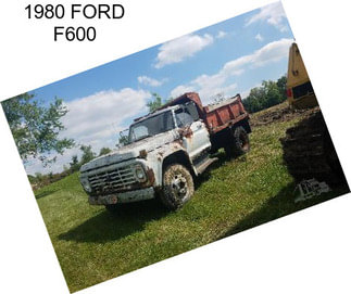 1980 FORD F600