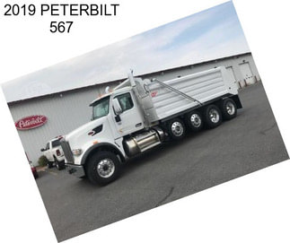 2019 PETERBILT 567