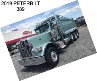 2019 PETERBILT 389