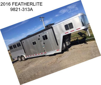 2016 FEATHERLITE 9821-313A