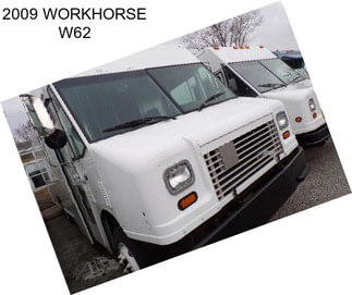 2009 WORKHORSE W62