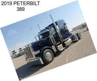 2019 PETERBILT 389