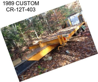 1989 CUSTOM CR-12T-403