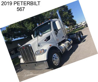 2019 PETERBILT 567