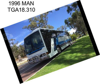 1996 MAN TGA18.310