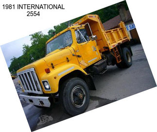 1981 INTERNATIONAL 2554