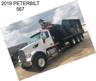 2019 PETERBILT 567