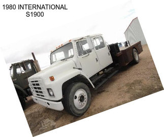 1980 INTERNATIONAL S1900