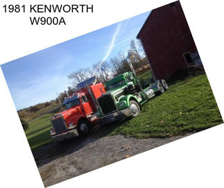 1981 KENWORTH W900A