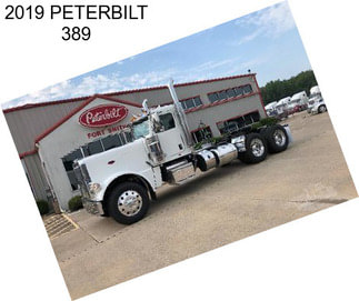 2019 PETERBILT 389