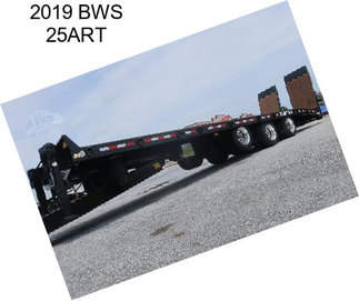 2019 BWS 25ART