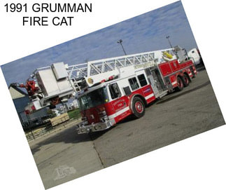 1991 GRUMMAN FIRE CAT