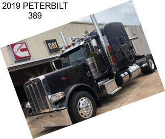 2019 PETERBILT 389