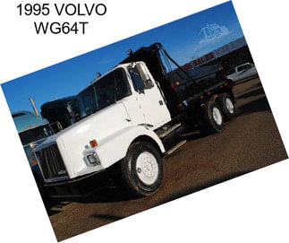 1995 VOLVO WG64T