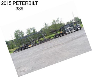 2015 PETERBILT 389