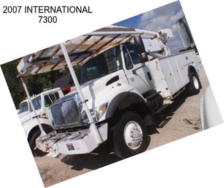 2007 INTERNATIONAL 7300