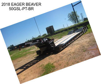 2018 EAGER BEAVER 50GSL-PT-BR