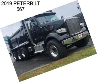 2019 PETERBILT 567